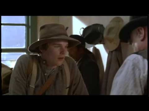 White Fang And The Gold Diggers fotoğrafı