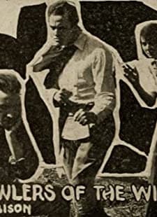 Prowlers Of The Wild (1914) afişi