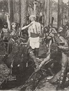 The Witch Of The Everglades (1911) afişi