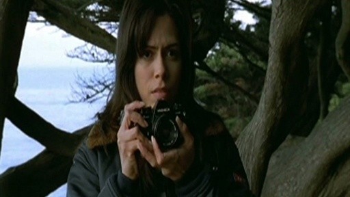 Soledad ıs Gone Forever fotoğrafı