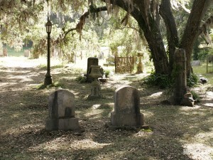 True Blood Fotoğrafı