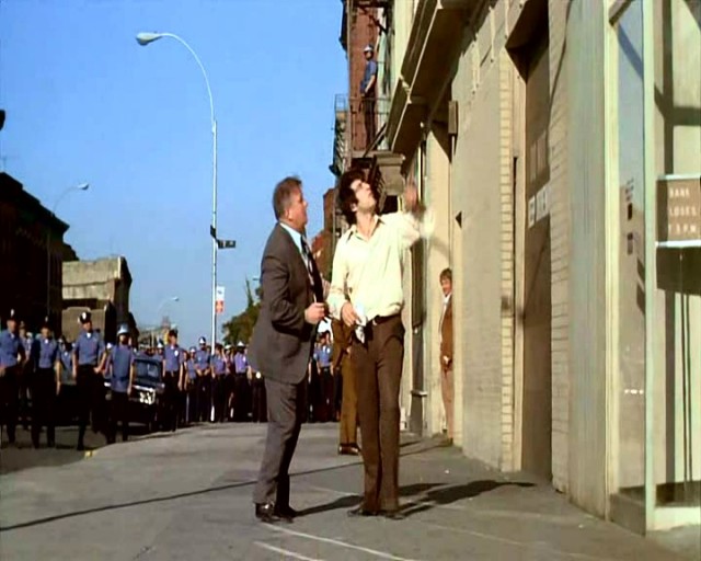 Köpeklerin Günü Fotoğrafı