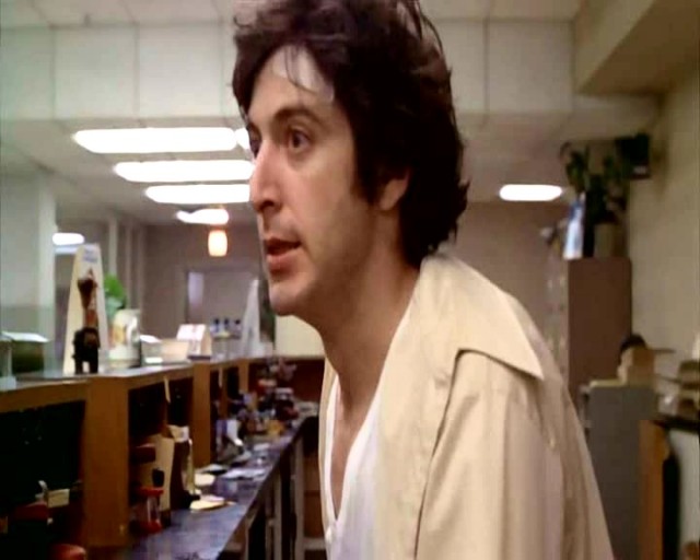 Köpeklerin Günü fotoğrafı