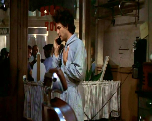 Köpeklerin Günü fotoğrafı