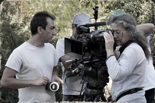 Çınar Ağacı fotoğrafı