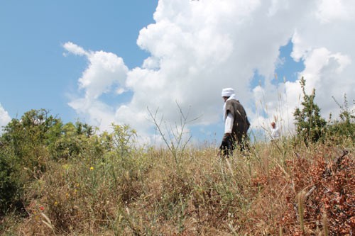 Hür Adam: Bediuzzaman Said Nursi Fotoğrafı