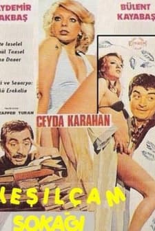 Yeşilçam Sokağı (1977) afişi