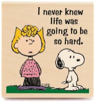 Charlie Brown Ve Snoopy Shov Fotoğrafı