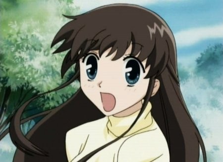 Fruits Basket Fotoğrafı