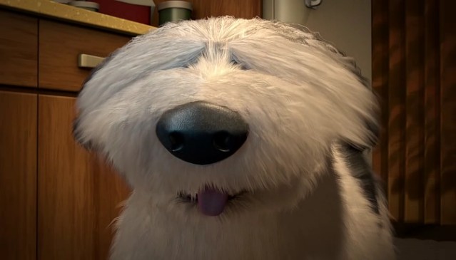 Çılgın Dostlar 3 Fotoğrafı