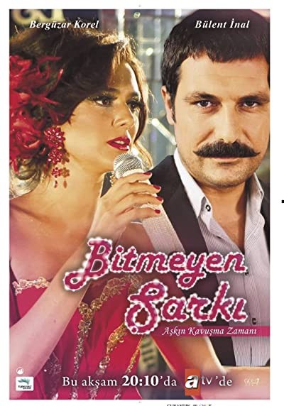 Bitmeyen Şarkı (2010) afişi