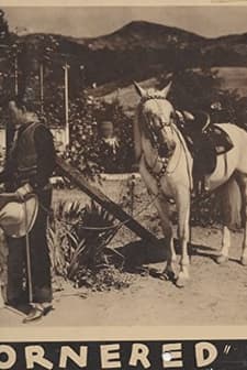 Cornered (') (1932) afişi