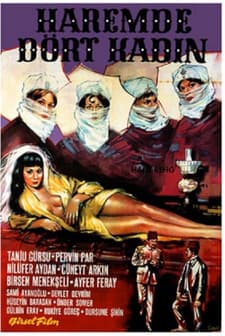 Haremde Dört Kadın (1965) afişi
