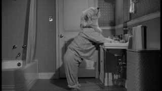 The Shaggy Dog fotoğrafı