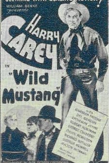 Wild Mustang (1935) afişi