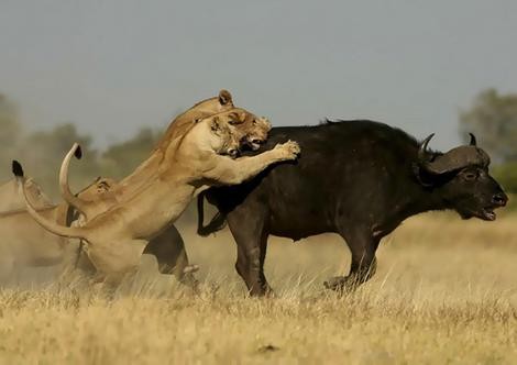 Relentless Enemies fotoğrafı