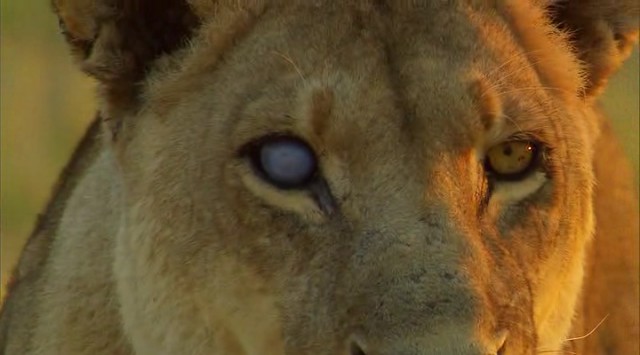 Relentless Enemies fotoğrafı