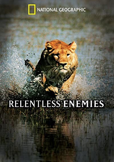 Relentless Enemies (2006) afişi