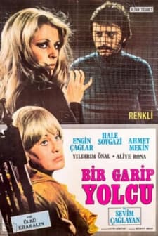 Bir Garip Yolcu (1972) afişi