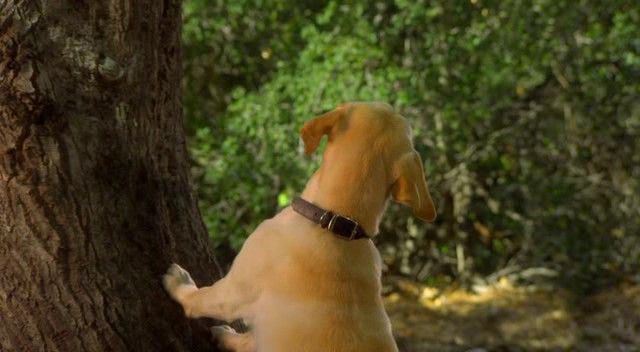 Büyük Hazine fotoğrafı