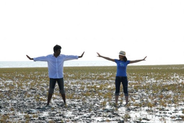 The City Of Crane fotoğrafı