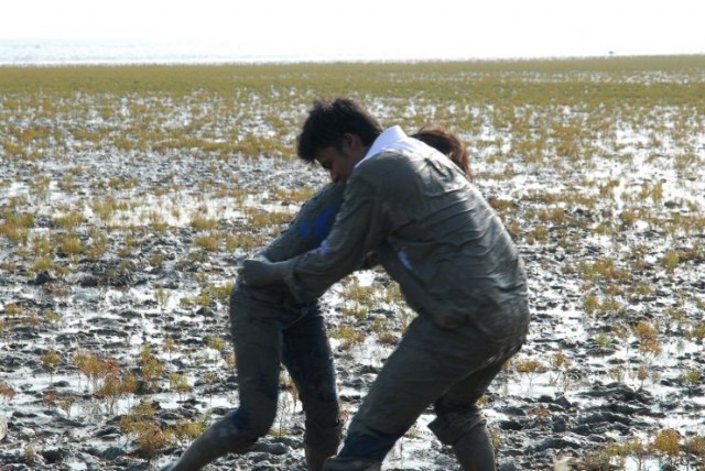The City Of Crane fotoğrafı