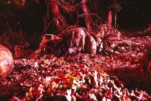 Pumpkinhead: Blood Feud fotoğrafı