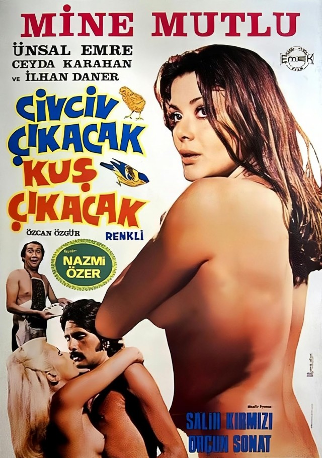 Dolandırıcı Aşıklar (1976) afişi