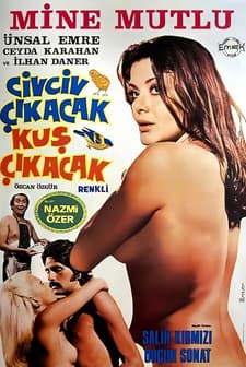 Dolandırıcı Aşıklar (1976) afişi