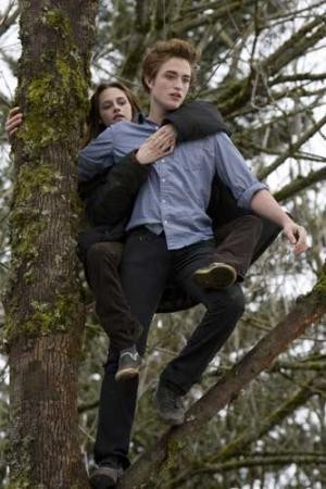 Alacakaranlık Fotoğrafı