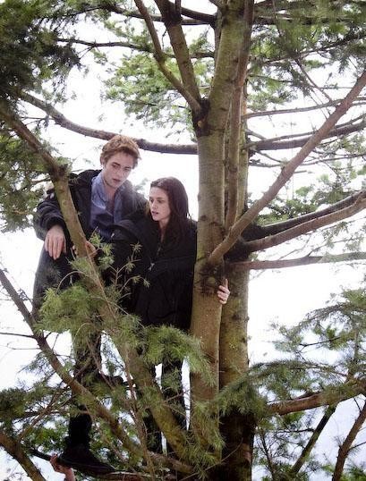 Alacakaranlık Fotoğrafı