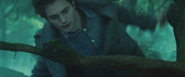 Alacakaranlık Fotoğrafı