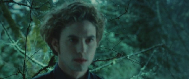 Alacakaranlık Fotoğrafı