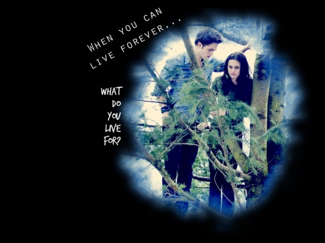 Alacakaranlık Fotoğrafı