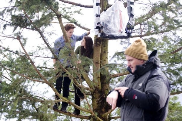 Alacakaranlık Fotoğrafı