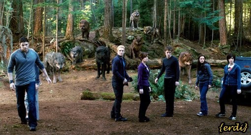 Alacakaranlık Fotoğrafı