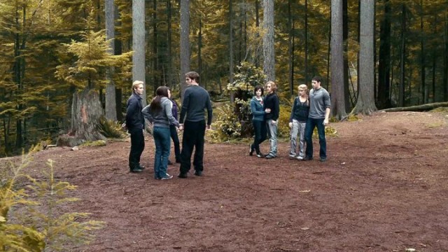 Alacakaranlık Fotoğrafı