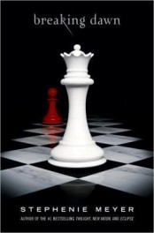 Alacakaranlık Fotoğrafı