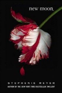 Alacakaranlık Fotoğrafı