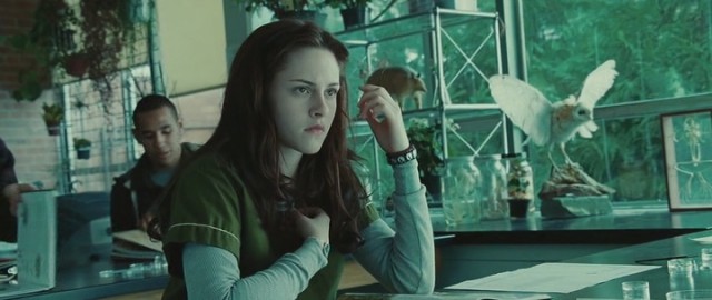 Alacakaranlık Fotoğrafı