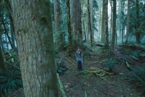 Alacakaranlık Fotoğrafı