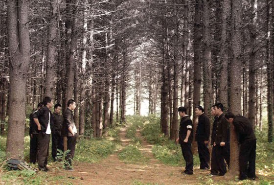 Sadness In Beauty Fotoğrafı