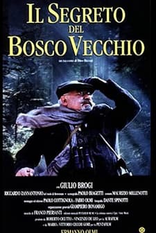 ıl Segreto Del Bosco Vecchio (1993) afişi
