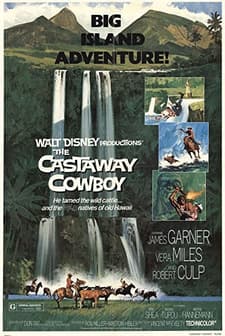 Castaway Cowboy (1974) afişi