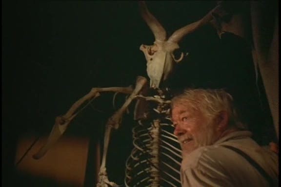 Gargoyles (tv) fotoğrafı