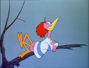 The Three Caballeros Fotoğrafı