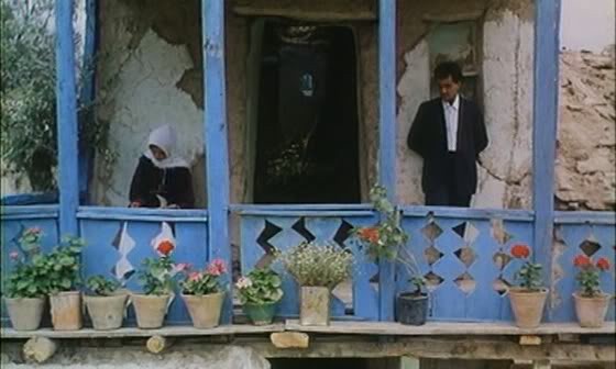 Zeytin Ağaçları Altında fotoğrafı