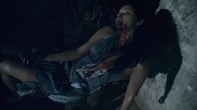 Spartacus: Gods Of The Arena Fotoğrafı