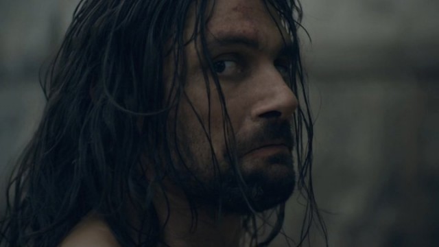 Spartacus: Gods Of The Arena Fotoğrafı