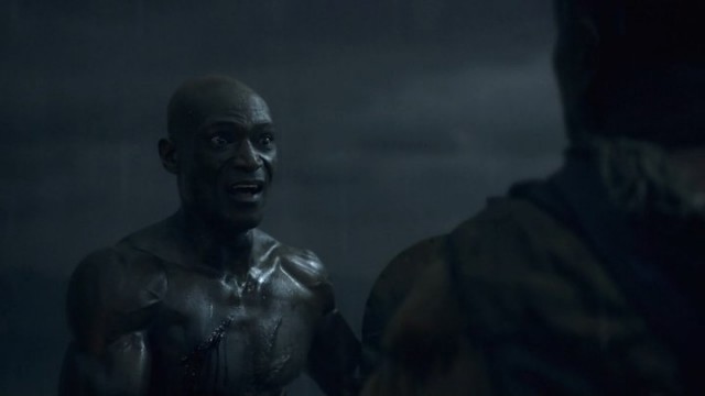 Spartacus: Gods Of The Arena Fotoğrafı